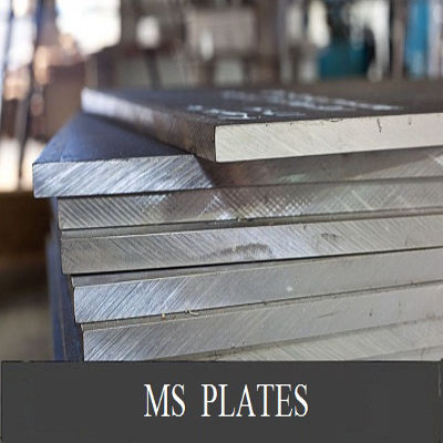 M.S. PLATES